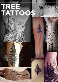 many different tattoos with trees and birds on them