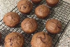 twelve chocolate muffins cooling on a wire rack