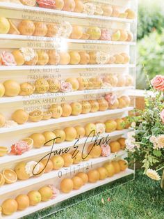 there are many oranges on the wall and flowers in vases next to each other