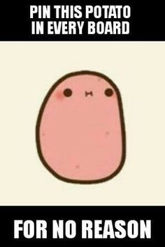 an image of a pink potato saying pin this potato in every board for no reason