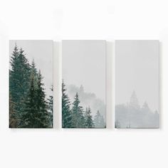 three canvases with trees and fog in the background on a white wall behind them