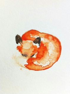 a drawing of a red fox curled up in a circle with its head on the ground