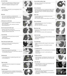 the diagram shows different parts of an animal's body and its functions in it