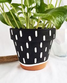 a potted plant sitting on top of a table