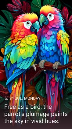 two colorful parrots sitting on top of a tree branch next to each other with the caption free as a bird, the parrot's plumengeg