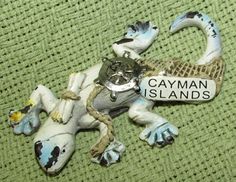 a ceramic lizard with a name tag that says cayman islands