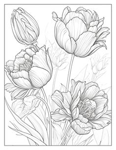 a black and white drawing of flowers