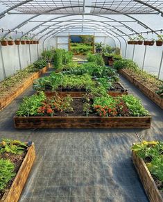 an indoor greenhouse filled with lots of plants