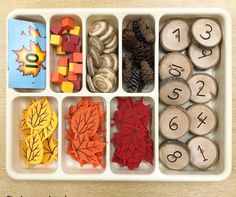 a tray filled with lots of different types of wooden blocks and numbers in each compartment