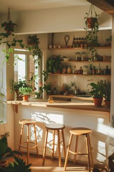 two stools in front of a counter with potted plants