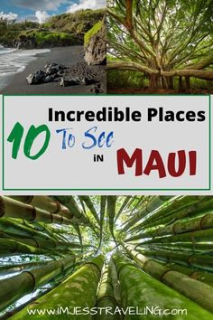 the top 10 incredible places to see in mau, with text overlaying it