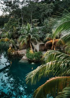 an outdoor pool surrounded by palm trees and other greenery in the background is a waterfall