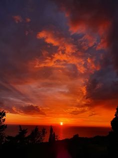 the sun is setting over the ocean and trees in front of some water with dark clouds