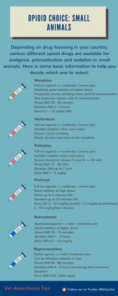 an info sheet with the words opioid choice small animals