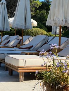 lounge chairs and umbrellas are lined up on the side of a building with flowers in front of them