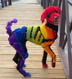 a dog dressed up like a skeleton on a wooden bridge