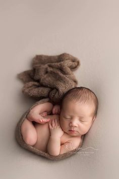 a newborn baby is curled up in a bowl