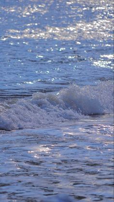 a bird standing on top of a wave in the ocean