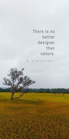 50+ Best Inspirational Quotes For Travel Lovers | Aesthetic Travel Quotes & Instagram Captions Nature Philosophy Quotes, Nature Healing Quotes Inspirational, Nature Person Quotes, Quotes On Trees Nature, Quotes About Forest Nature, Nature Bliss Quotes, Qoutes About Nature Lover, Quotes On View Of Nature, What'sapp About Captions