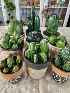 there are many green cactus in the pots