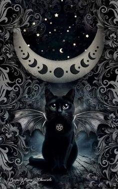 a black cat sitting in front of a crescent moon