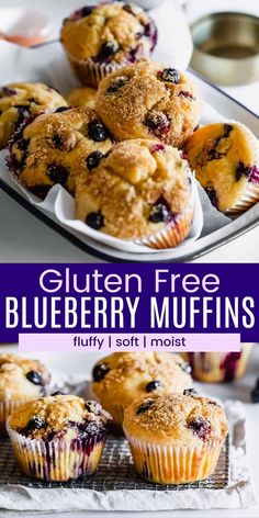 blueberry muffins on a plate with the text gluten free blueberry muffins