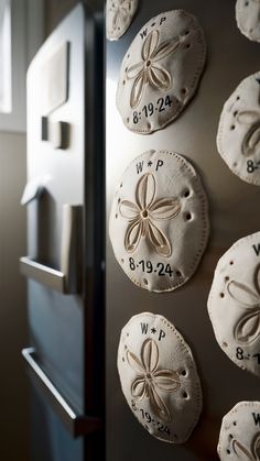 there are many sand dollar signs on the wall