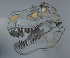 a drawing of a dinosaur's skull with sharp teeth