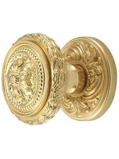 an ornate brass door knob with a lion head on the front and side panel,