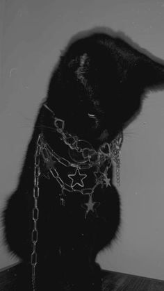 a black cat with chains around it's neck sitting on top of a table