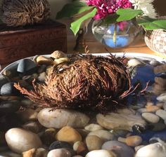 a bowl filled with rocks and plants on top of a table