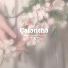 two hands touching each other with flowers in front of them and the words, galaatha