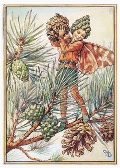 an illustration of a fairy holding pine cones