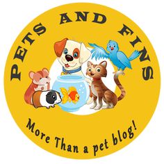 a yellow sticker with dogs and cats on it that says pets and eyes more than a pet blog