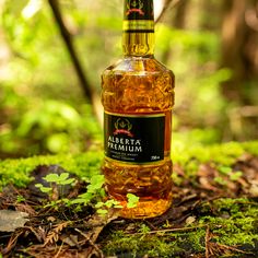 a bottle of alcohol sitting on top of a moss covered ground in front of trees