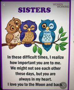 two owls sitting on top of a tree branch with the words, sisters in these difficult times, i realize how important you are to me