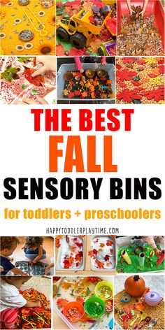 the best fall sensory bins for toddlers and preschoolers to help them learn