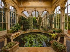 the inside of a building with many windows and plants