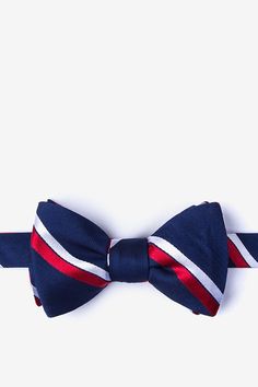 Axel Bow Tie Navy Formal Ties For Summer, Fitted Red Bow Tie, Red Summer Bow Tie, Classic Adjustable Red Ties, Red Satin Bow Tie Adjustable, Adjustable Blue Bow Ties, Red Butterfly, Navy Background, Red Silk