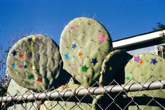 three large cactus plants with stars on them behind a chain link fence