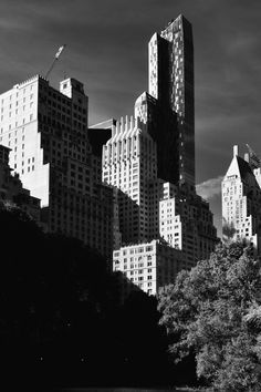 black and white photograph of skyscrapers in new york city with trees on the bank