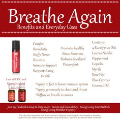 Young Living Breathe Again, Essential Oils Blends, Empty Glass Bottles, Yl Oils, Oil Remedies