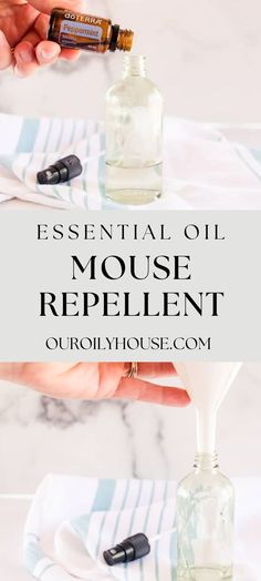 a bottle of essential oil being poured into a glass with the words essential oil mouse repellent on it