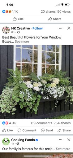 an instagram page with flowers and plants on the front window sill, along with other posts about how to use them