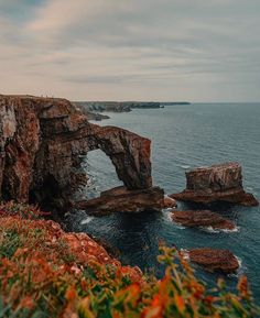 an arch in the rock near the ocean on a cloudy day with flowers growing out of it