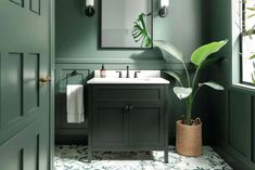 a bathroom with green walls and flooring has a potted plant next to the sink