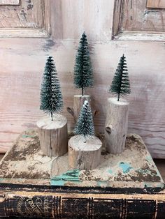 three small pine trees sitting on top of a wooden stump in front of a door