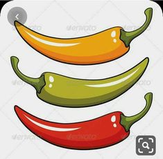 three chili peppers with different colors on white background - food objects clippings illustrations