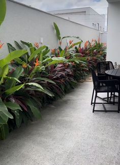 an outdoor patio area with tables and chairs next to large plants on the side of the building