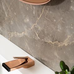 a bathroom sink with gold faucet and marble counter top next to potted plant